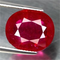 Natural Rich Red Pink Ruby 9.04 Cts