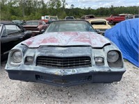 Hotrod/Muscle Car auction