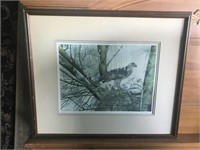 Paul Harpley Numbered Osprey Framed Artwork