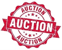 End Of Month Blowout Public Auction Sale- New Braunfels