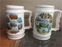 Oregon and Arizona beer mugs