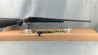 Remington 700 308 Winchester