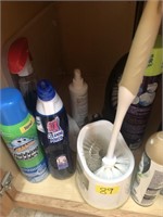 Bathroom cleaning supplies