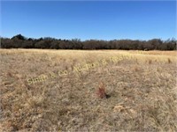 Griffith Land & Real Estate Auction