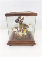 Butterfly Decorative Model Terrarium