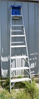 Werner 8' Aluminum Ladder