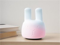 Rainbow Bunny Lamp