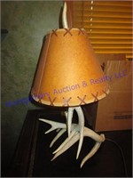 SHED LAMP