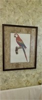 Decorative parrots wall art, 17 x 21