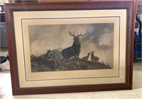 Large antique 1876 engraving - 12 point buck with