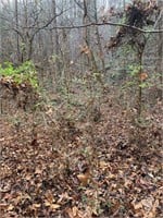 38.4 Acres Off Wilhite Road Sevierville TN 37876