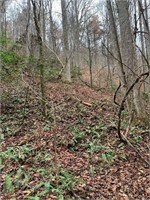 38.4 Acres Off Wilhite Road Sevierville TN 37876