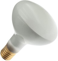 Industrial Performance R40 Base Light Bulb