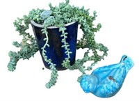 Outdoor Potted Plant/Blue Bird Decor