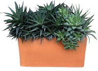 Outdoor Ceramic Potted Plant