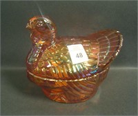 Imperial I.G. Marigold Turkey on Nest