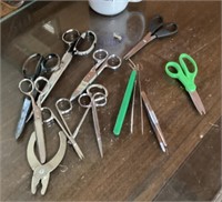 Collection of scissors and tweezers
