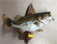 Wall Mount Large Mouth Bass
