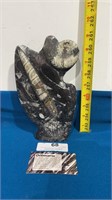 Orthoceras Staue 8 “ Moroccan Fossil