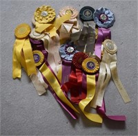 Various Horse Ribbons