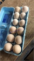 1 Doz Fertile Chicken Eggs - See Description