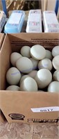 5 Doz Duck Eating Eggs