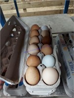 4 Doz Mixed Eating Eggs