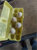 4 Fertile Heritage Turkey Eggs