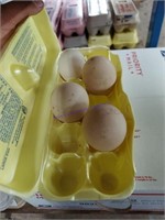 4 Fertile Peafowl Eggs - Free Range