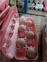 6 Fertile Muscovy Duck Eggs