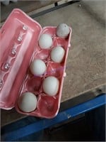 6 Fertile Duck Eggs - 5 Muscovy & 1 Cayuga