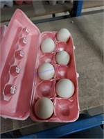 6 Fertile Muscovy Duck Eggs