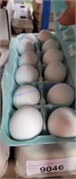 1 Doz Fertile Death Layer Chicken Eggs