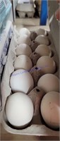 1 Doz Fertile Death Layer Chicken Eggs