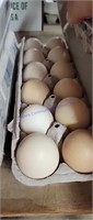 1 Doz Fertile Bresse Chicken Eggs