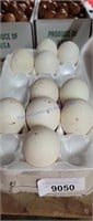 10 Fertile Sweetgrass Turkey Eggs