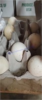 7 Fertile Midget White Turkey Eggs