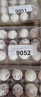 1 Doz Fert Snowflake Bobwhite Quail Eggs W/ Permit