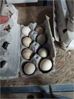 8 Fertile Satin Silkie Frizzle Eggs