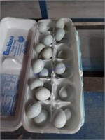 2 Doz Fertile Coturnix Quail Eggs