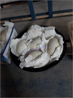 5 Fertile Chinese Geese Eggs
