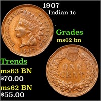 1907 Indian Cent 1c Grades Select Unc BN