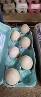 6 Fertile Kahaki / Pekin / Rouen Duck Eggs