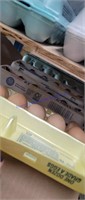 15 Doz Brown Eating Eggs