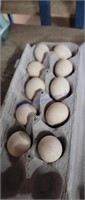 10 Fertile Old English Duckwing Eggs