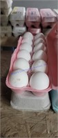 2 Doz Fertile White Legger & Easter Egger Eggs