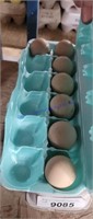 7 Fertile Lavender & Pearl Guinea Eggs