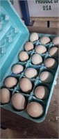 1.5 Doz Fertile Bearded Silkie Eggs
