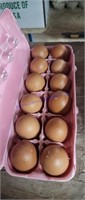 1 Doz Fertile Black Copper Maran Eggs