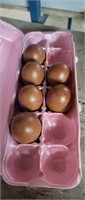 6 Fertile Black Copper Maran Eggs